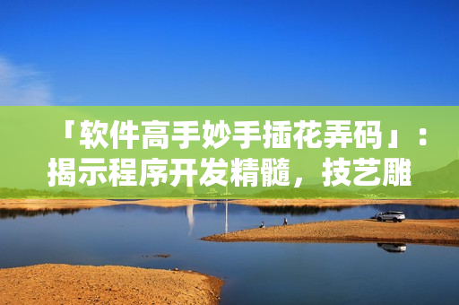 「軟件高手妙手插花弄碼」：揭示程序開發(fā)精髓，技藝雕琢成就華麗用戶體驗(yàn)