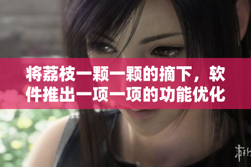 將荔枝一顆一顆的摘下，軟件推出一項(xiàng)一項(xiàng)的功能優(yōu)化