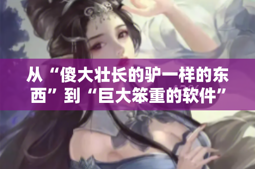 從“傻大壯長(zhǎng)的驢一樣的東西”到“巨大笨重的軟件”，當(dāng)軟件優(yōu)化變得重要