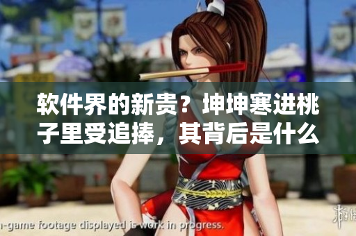 軟件界的新貴？坤坤寒進(jìn)桃子里受追捧，其背后是什么秘密？