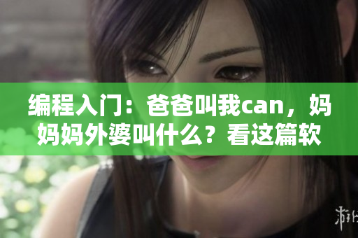 編程入門：爸爸叫我can，媽媽媽外婆叫什么？看這篇軟件開發(fā)教程！