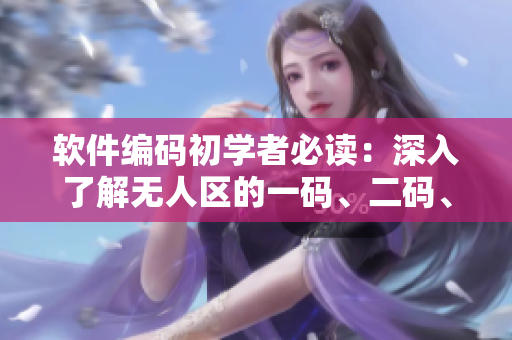 軟件編碼初學(xué)者必讀：深入了解無人區(qū)的一碼、二碼、三碼區(qū)別