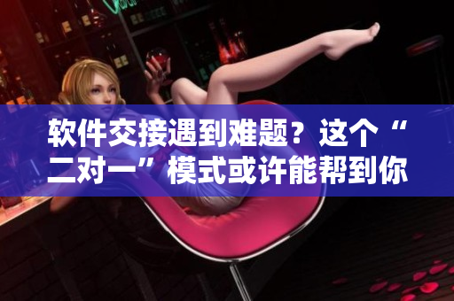 軟件交接遇到難題？這個“二對一”模式或許能幫到你！