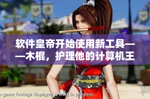 軟件皇帝開(kāi)始使用新工具——木棍，護(hù)理他的計(jì)算機(jī)王朝