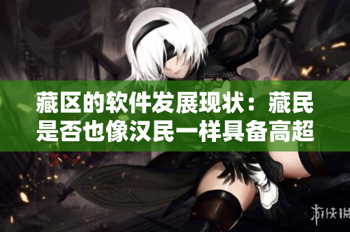 藏區(qū)的軟件發(fā)展現(xiàn)狀：藏民是否也像漢民一樣具備高超的軟件應(yīng)用技能？
