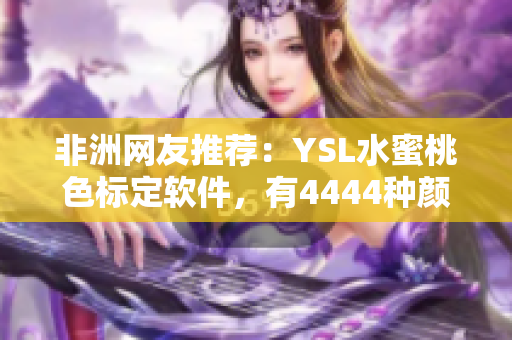 非洲網(wǎng)友推薦：YSL水蜜桃色標(biāo)定軟件，有4444種顏色選擇！