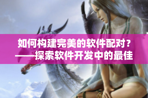 如何構(gòu)建完美的軟件配對？——探索軟件開發(fā)中的最佳搭檔策略
