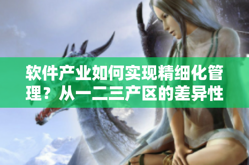 軟件產(chǎn)業(yè)如何實(shí)現(xiàn)精細(xì)化管理？從一二三產(chǎn)區(qū)的差異性探討