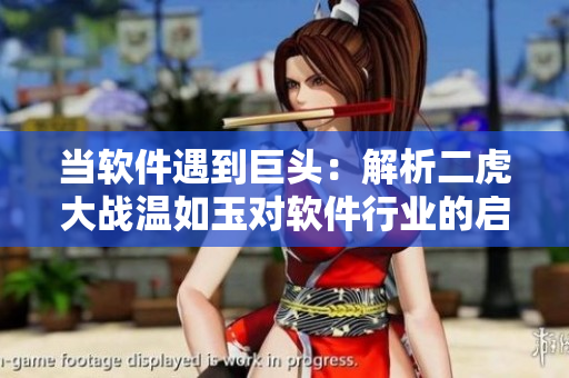 當(dāng)軟件遇到巨頭：解析二虎大戰(zhàn)溫如玉對(duì)軟件行業(yè)的啟示