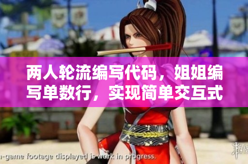 兩人輪流編寫代碼，姐姐編寫單數(shù)行，實(shí)現(xiàn)簡單交互式軟件。