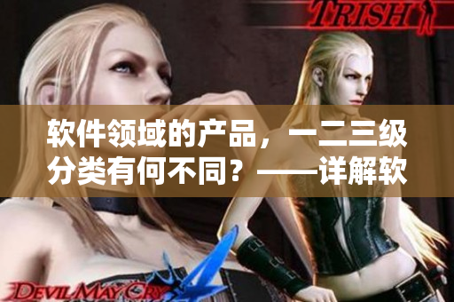 軟件領(lǐng)域的產(chǎn)品，一二三級(jí)分類有何不同？——詳解軟件產(chǎn)品區(qū)域劃分