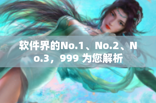 軟件界的No.1、No.2、No.3，999 為您解析
