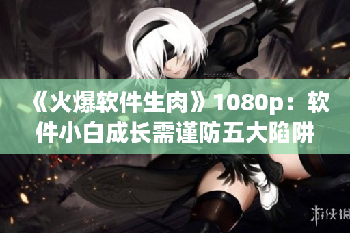 《火爆軟件生肉》1080p：軟件小白成長需謹防五大陷阱！