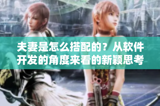 夫妻是怎么搭配的？從軟件開發(fā)的角度來看的新穎思考