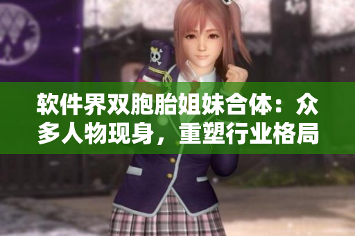 軟件界雙胞胎姐妹合體：眾多人物現(xiàn)身，重塑行業(yè)格局