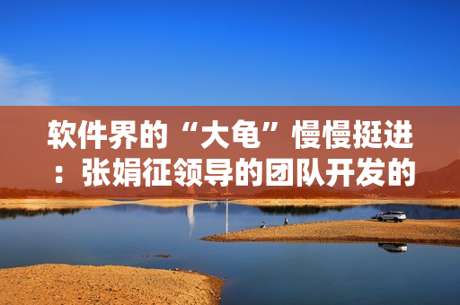 軟件界的“大龜”慢慢挺進(jìn)：張娟征領(lǐng)導(dǎo)的團(tuán)隊(duì)開(kāi)發(fā)的軟件亮相市場(chǎng)