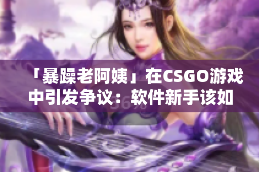 「暴躁老阿姨」在CSGO游戲中引發(fā)爭議：軟件新手該如何應(yīng)對(duì)？