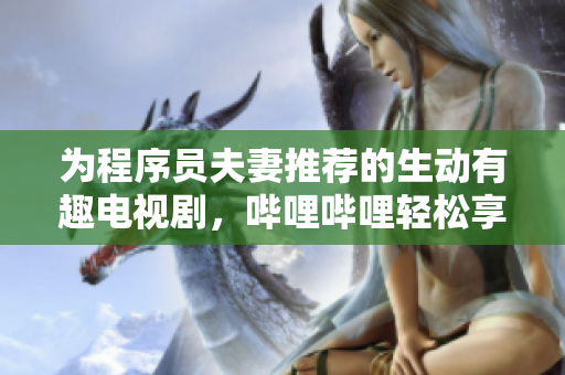 為程序員夫妻推薦的生動有趣電視劇，嗶哩嗶哩輕松享受！