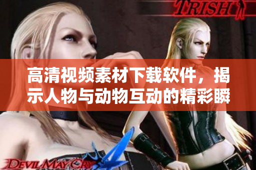高清視頻素材下載軟件，揭示人物與動(dòng)物互動(dòng)的精彩瞬間
