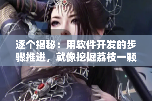 逐個揭秘：用軟件開發(fā)的步驟推進，就像挖掘荔枝一顆一顆細心品嘗