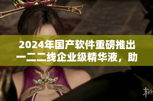 2024年國產(chǎn)軟件重磅推出一二二線企業(yè)級精華液，助力中小企業(yè)快速升級