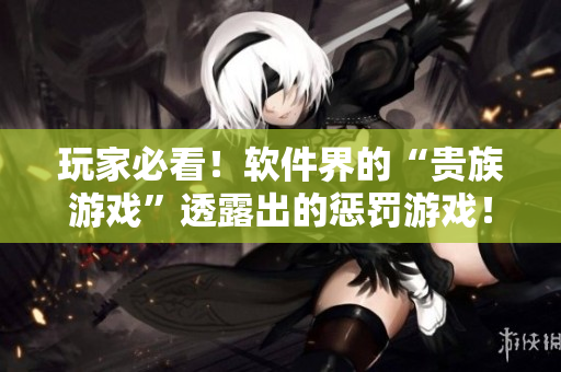 玩家必看！軟件界的“貴族游戲”透露出的懲罰游戲！