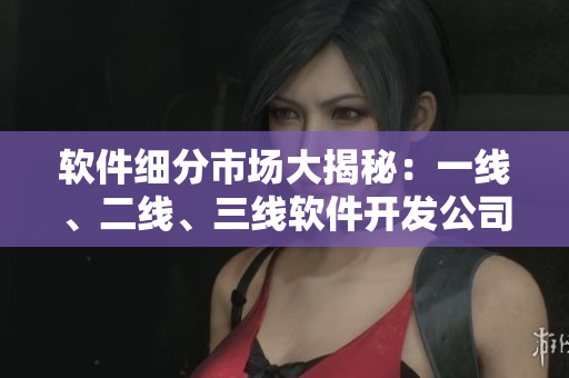 軟件細(xì)分市場(chǎng)大揭秘：一線、二線、三線軟件開(kāi)發(fā)公司競(jìng)爭(zhēng)分析！