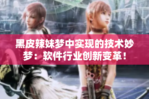 黑皮辣妹夢中實(shí)現(xiàn)的技術(shù)妙夢：軟件行業(yè)創(chuàng)新變革！