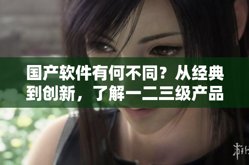 國(guó)產(chǎn)軟件有何不同？從經(jīng)典到創(chuàng)新，了解一二三級(jí)產(chǎn)品區(qū)別