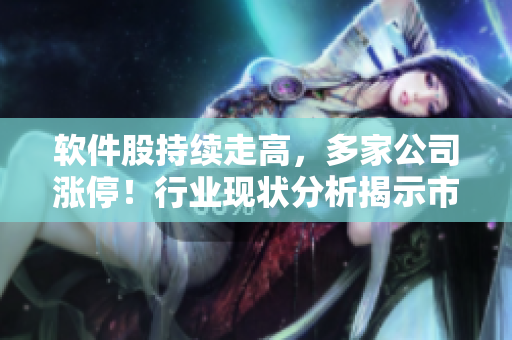 軟件股持續(xù)走高，多家公司漲停！行業(yè)現(xiàn)狀分析揭示市場潛力