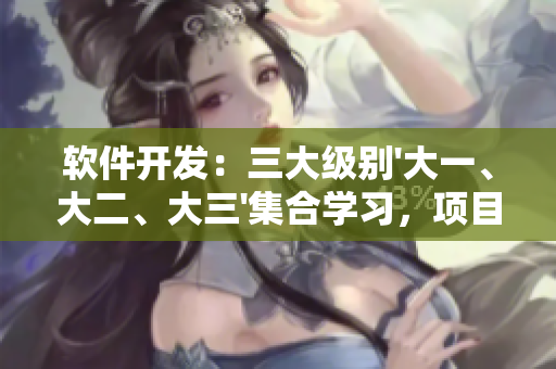 軟件開發(fā)：三大級(jí)別'大一、大二、大三'集合學(xué)習(xí)，項(xiàng)目前三年全覆蓋