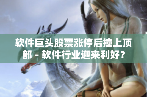 軟件巨頭股票漲停后撞上頂部 - 軟件行業(yè)迎來利好？