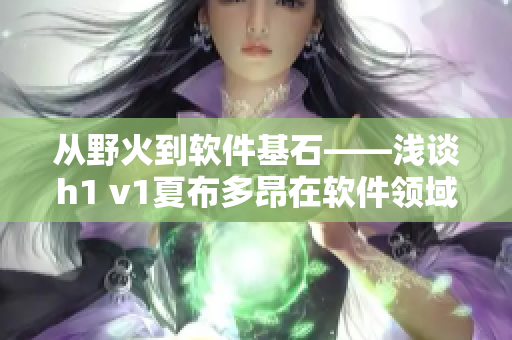 從野火到軟件基石——淺談h1 v1夏布多昂在軟件領(lǐng)域的應(yīng)用與發(fā)展