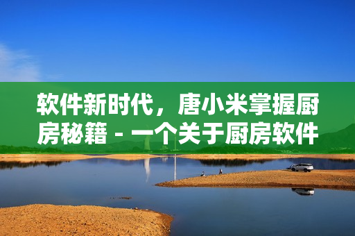 軟件新時代，唐小米掌握廚房秘籍 - 一個關(guān)于廚房軟件技術(shù)的文章