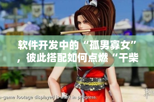 軟件開發(fā)中的“孤男寡女”，彼此搭配如何點燃“干柴烈火”