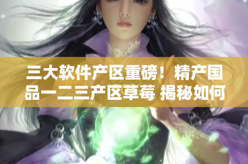三大軟件產(chǎn)區(qū)重磅！精產(chǎn)國品一二三產(chǎn)區(qū)草莓 揭秘如何保障軟件質(zhì)量