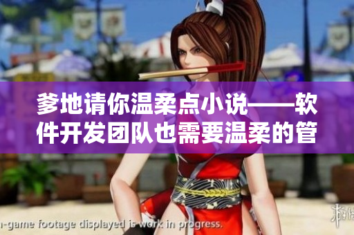 爹地請你溫柔點小說——軟件開發(fā)團隊也需要溫柔的管理方式！