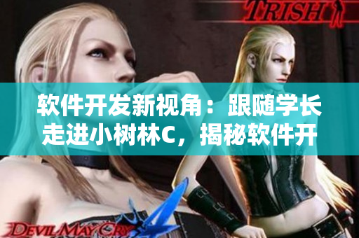 軟件開(kāi)發(fā)新視角：跟隨學(xué)長(zhǎng)走進(jìn)小樹(shù)林C，揭秘軟件開(kāi)發(fā)的爽感