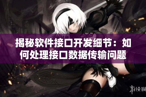 揭秘軟件接口開(kāi)發(fā)細(xì)節(jié)：如何處理接口數(shù)據(jù)傳輸問(wèn)題