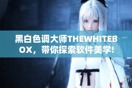 黑白色調(diào)大師THEWHITEBOX，帶你探索軟件美學(xué)!