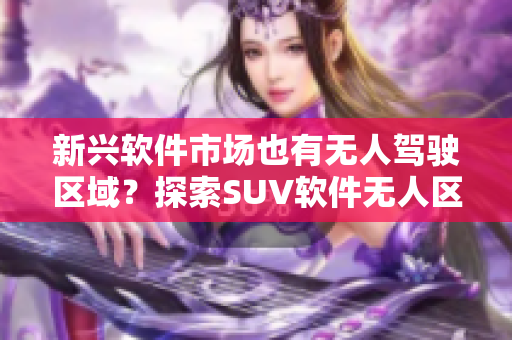 新興軟件市場也有無人駕駛區(qū)域？探索SUV軟件無人區(qū)