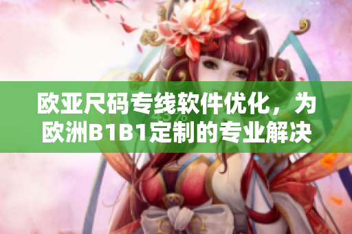 歐亞尺碼專線軟件優(yōu)化，為歐洲B1B1定制的專業(yè)解決方案
