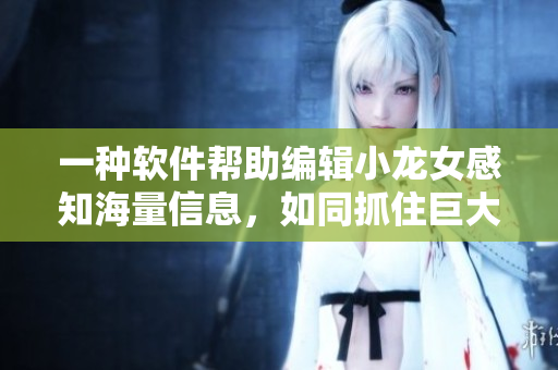 一種軟件幫助編輯小龍女感知海量信息，如同抓住巨大的火龍槍