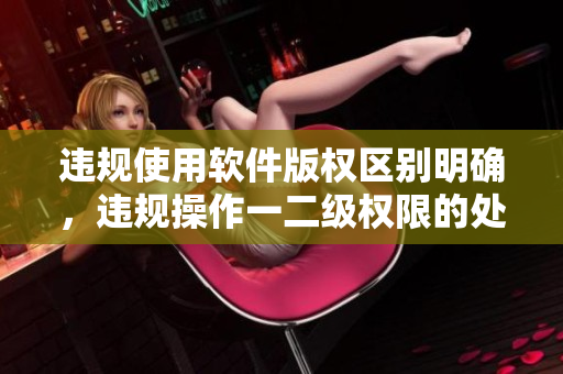 違規(guī)使用軟件版權(quán)區(qū)別明確，違規(guī)操作一二級(jí)權(quán)限的處罰流程詳解