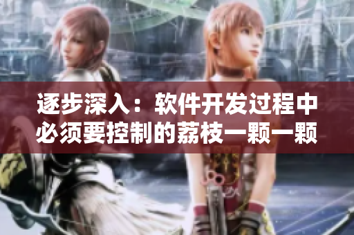 逐步深入：軟件開(kāi)發(fā)過(guò)程中必須要控制的荔枝一顆一顆