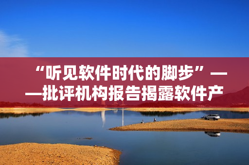 “聽見軟件時(shí)代的腳步”——批評機(jī)構(gòu)報(bào)告揭露軟件產(chǎn)業(yè)市場盲目投資現(xiàn)狀