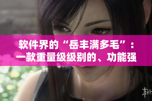 軟件界的“岳豐滿多毛”：一款重量級(jí)級(jí)別的、功能強(qiáng)大的軟件