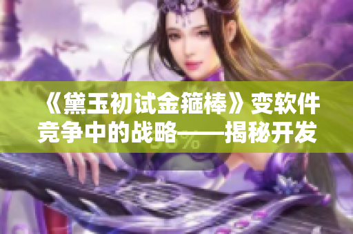 《黛玉初試金箍棒》變軟件競爭中的戰(zhàn)略——揭秘開發(fā)團隊的核心保障！