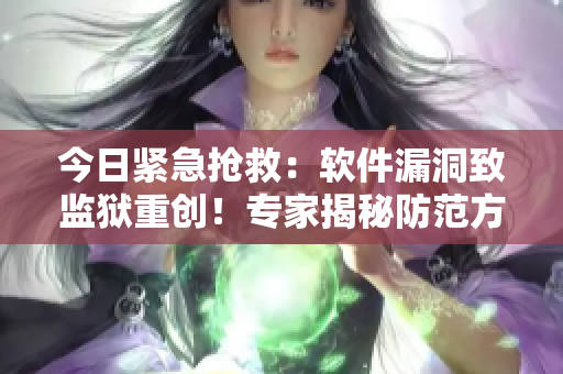 今日緊急搶救：軟件漏洞致監(jiān)獄重創(chuàng)！專家揭秘防范方法