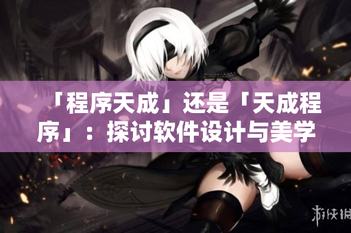 「程序天成」還是「天成程序」：探討軟件設(shè)計(jì)與美學(xué)的奧秘